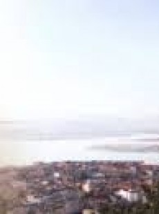  María Del Puerto Gallego Arriola