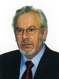 Marcelo Palacios Alonso