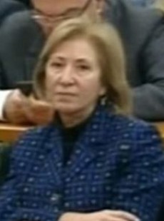 Ayşe Gülsün Bilgehan