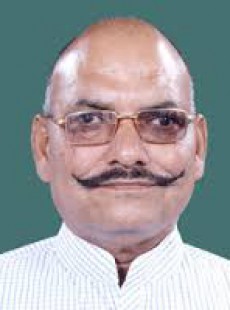 Bahadur Singh Koli