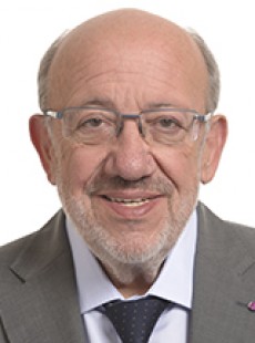 Louis Michel