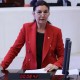 Lale Karabıyık